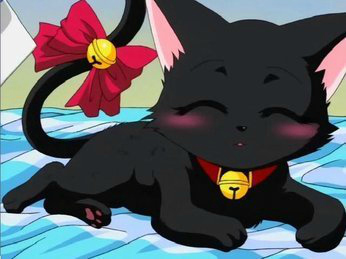cats anime Images of